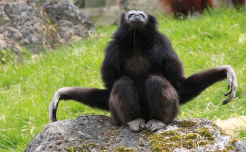 relâcher les tensions naturellement